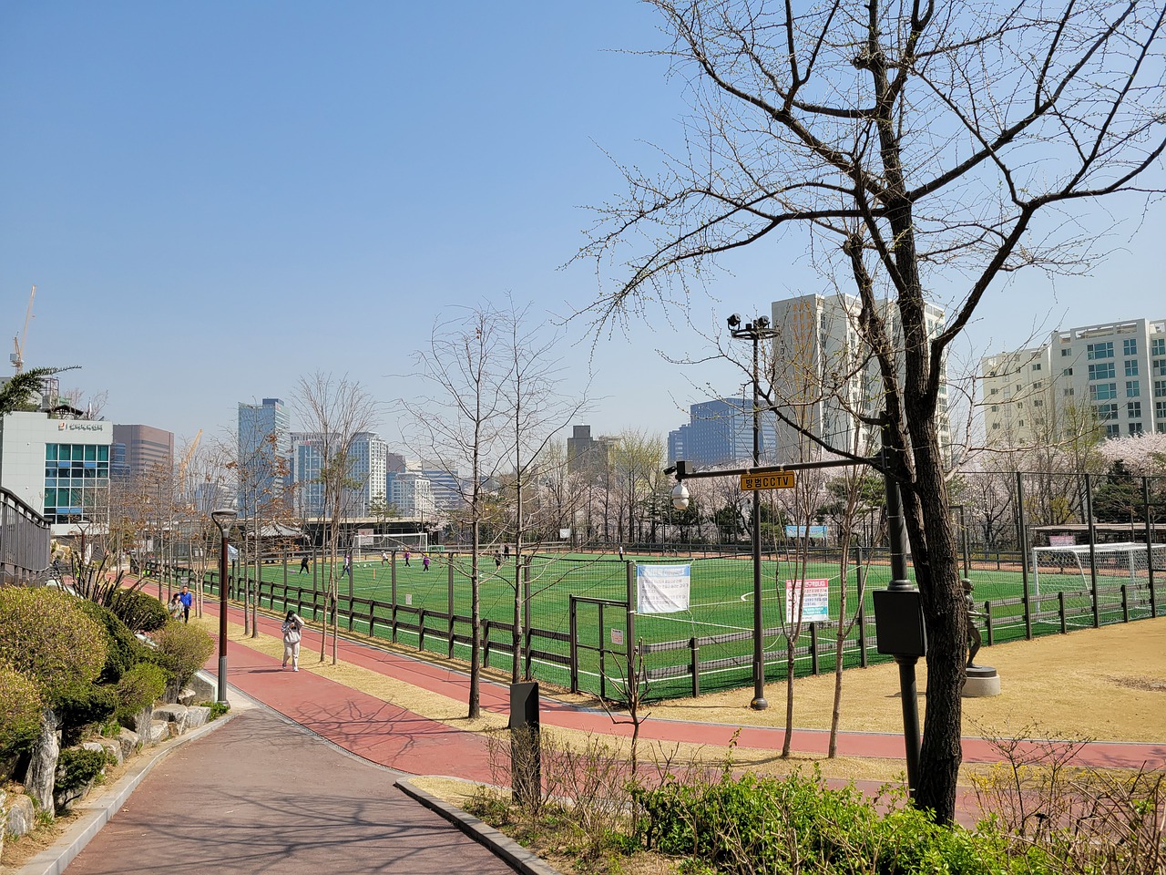 帮助团队建