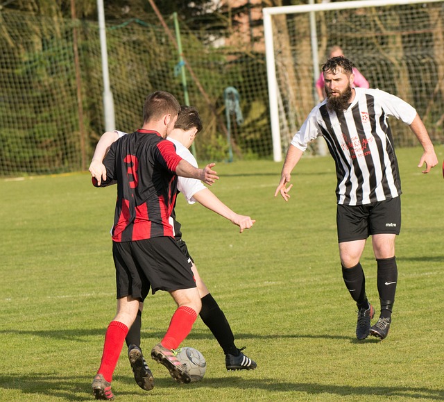 再次点燃了 再次点燃了