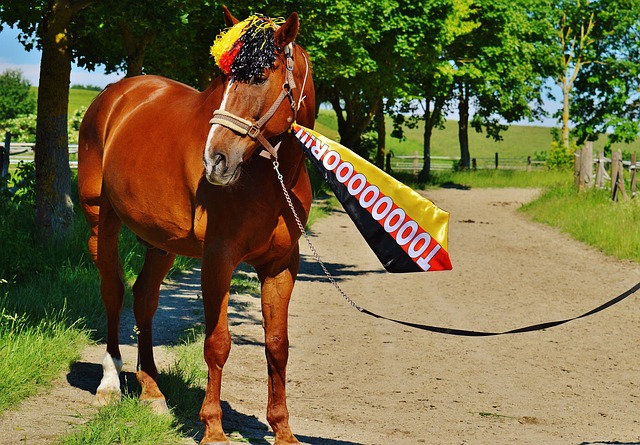 在拉齐奥时 在拉齐奥时
