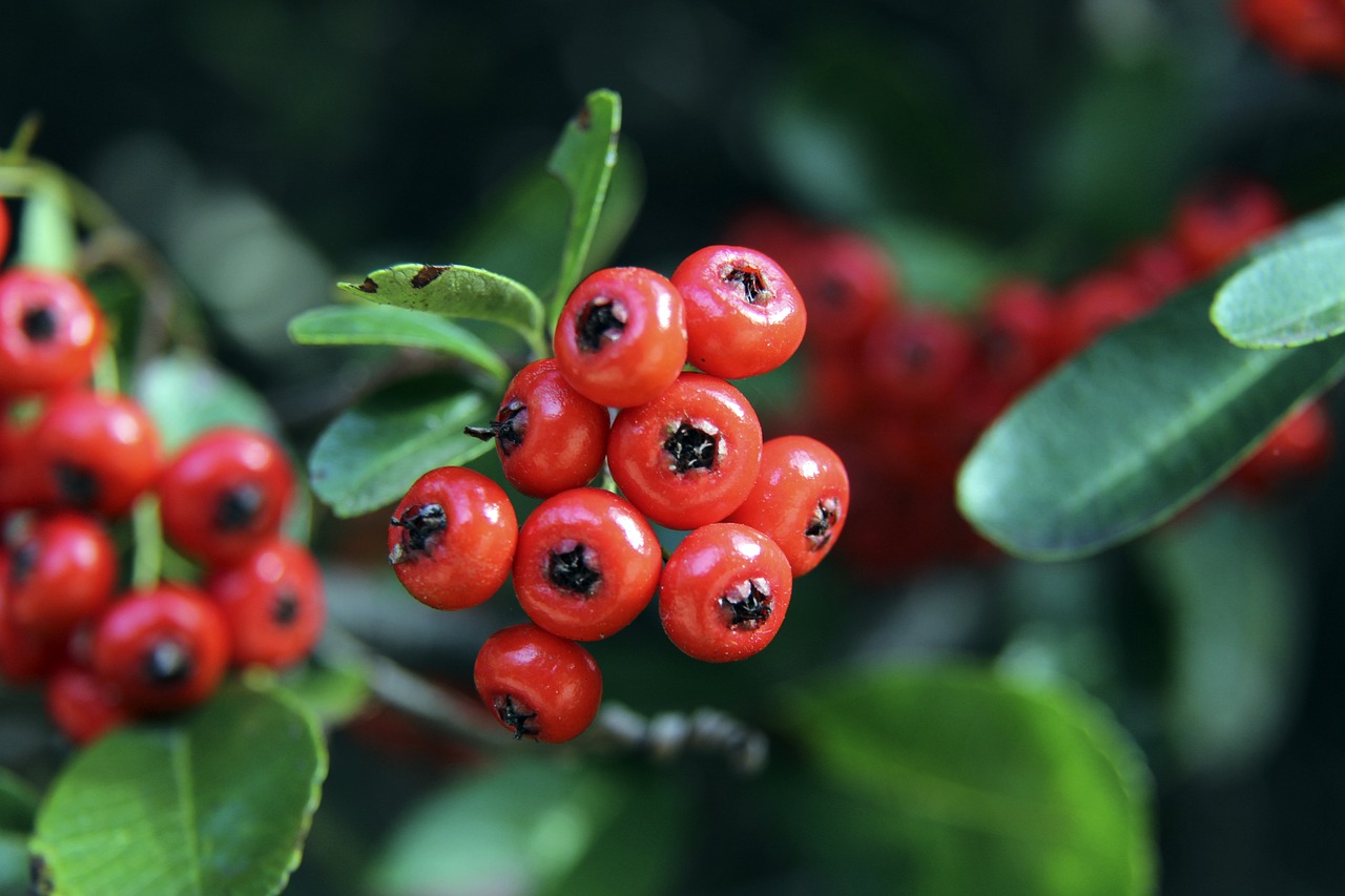 同时也是整 同时也是整