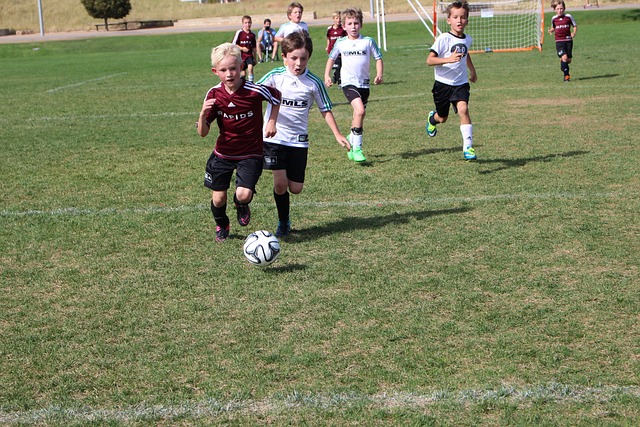 对于雄鹿而 对于雄鹿而