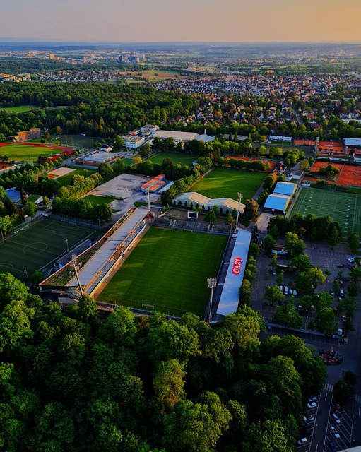 它象征的是 它象征的是